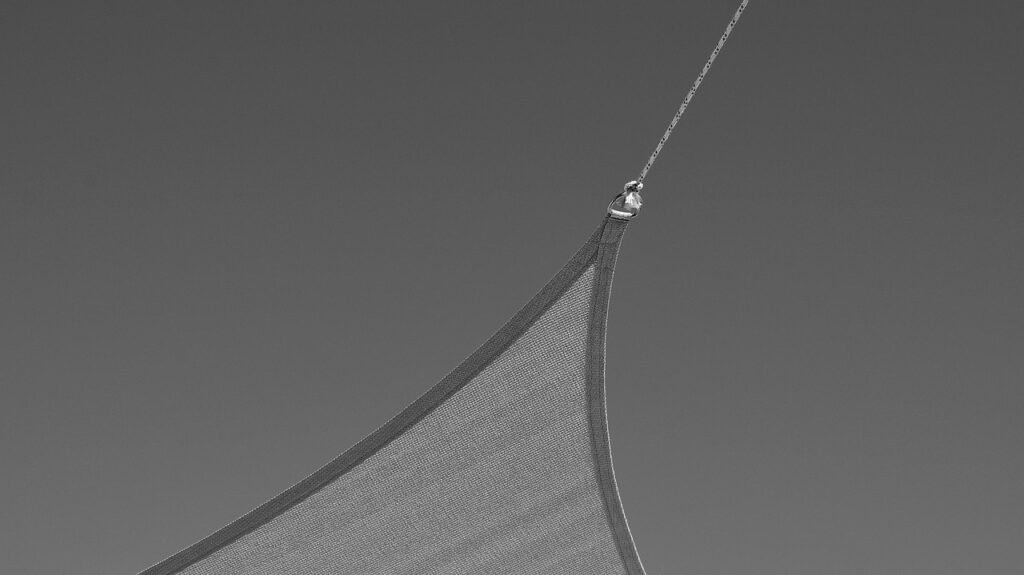 sail, sailing, boat, black and white